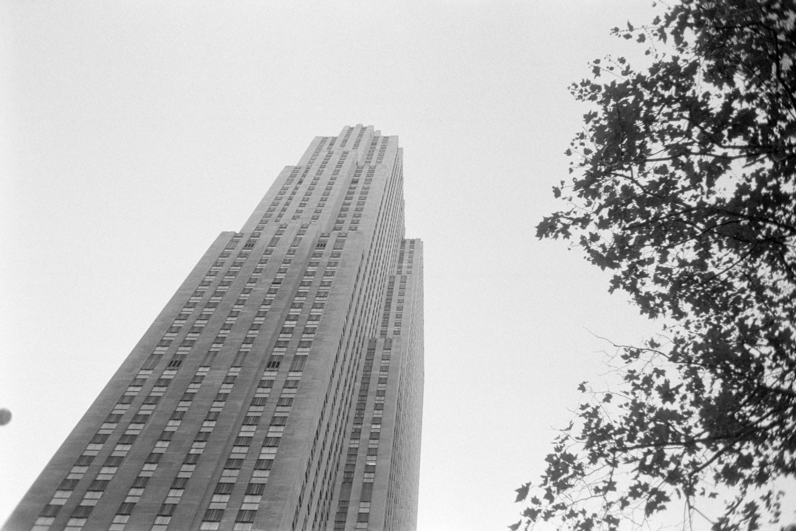 AHP FilmScan 240807 0799